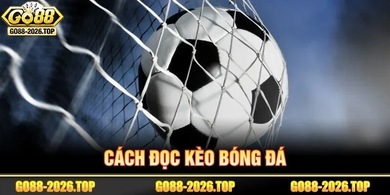 Cách Đọc Kèo Bóng Đá Chi Tiết Dành Cho Tân Thủ GO88