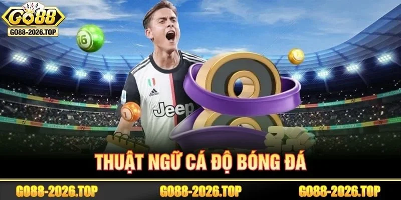 Tuyển Tập Các Thuật Ngữ Cá Độ Bóng Đá Dành Cho Newbie GO88